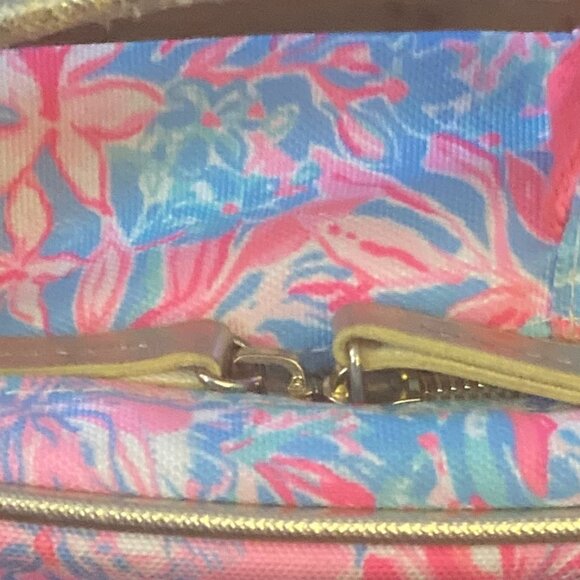 Pretty Lilly Pulitzer Lunch Bag - Picture 8 of 10